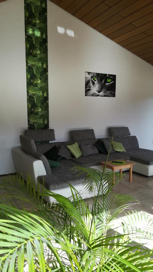 Ferienwohnung Froehlich Dorfprozelten 외부 사진